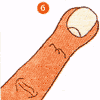 Лапатообразный кончик пальца