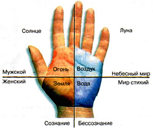 Квадранты ладони