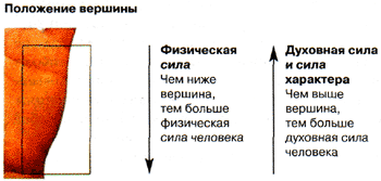 Положение вершины